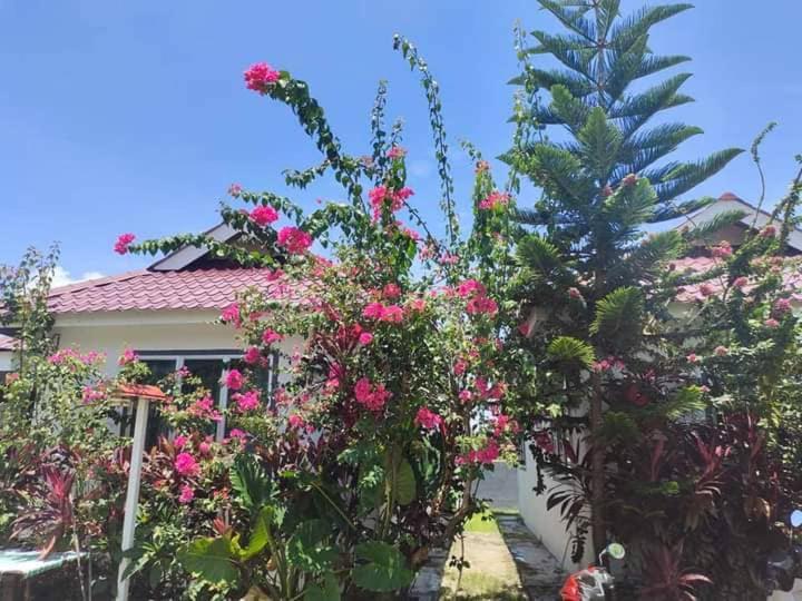 Langkawi Homestay Bunga Padi กัวห์ ภายนอก รูปภาพ